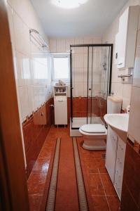 un bagno con doccia, WC e lavandino di CosyHouse-Kupres a Kupres