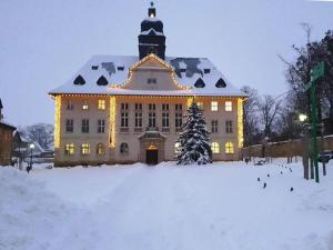 un grand bâtiment avec un arbre de Noël dans la neige dans l'établissement Apartment Otte the Rich in Ballenstedt, à Ballenstedt
