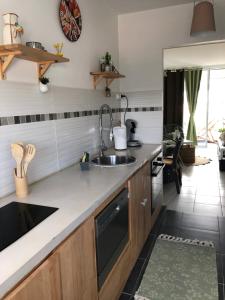 Кухня або міні-кухня у Appartement avec vue panoramique de Pointe-à-Pitre
