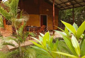 a house with a bunch of plants in front of it at Walampuri Cabana & Restaurant in Tangalle