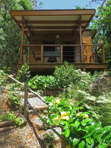 Dumbéaにあるla Cabane de la Valleeの塀を前にした森の小屋
