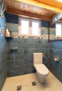 a bathroom with a toilet and a shower at Dimizis in Methoni