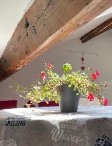 a potted plant sitting on top of a table at Delizioso attico privato, comfort, cool. in Milan