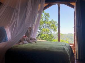 a bedroom with a canopy bed with a large window at Teniqua Treetops in Sedgefield