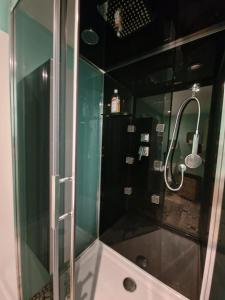 een douche met een glazen deur in de badkamer bij Au bord du canal in Nancy