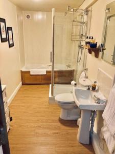 a bathroom with a toilet and a sink and a shower at Ty Mawr Country Hotel in Carmarthen