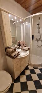 Koupelna v ubytování Appartement Gugganig + 14 fotografií