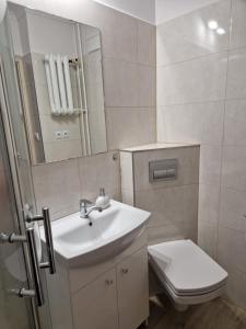 a bathroom with a sink and a toilet at Apartament Górska Panorama in Szklarska Poręba