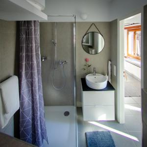 y baño con ducha y lavamanos. en Rustico al Sole - Just renewed 1bedroom home in Ronco sopra Ascona en Ronco s/Ascona - Porto Ronco
