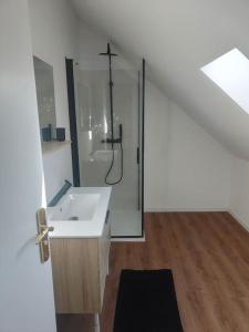 a bathroom with a shower and a white sink at Maison 8 couchages in Le Mans