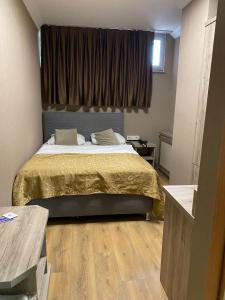 1 dormitorio con 1 cama grande y ventana en Golden Lounge Hotel en Estambul