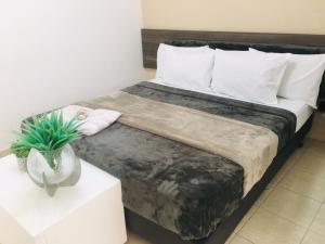 a bed in a room with a plant on a table at Hotel Malka in São Paulo