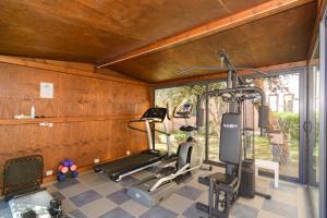 a gym with several exercise equipment in a room at L'incanto Di Boccadarno in Marina di Pisa