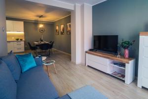 Televízia a/alebo spoločenská miestnosť v ubytovaní Apartament w Kamienicy na Kłodzkiej
