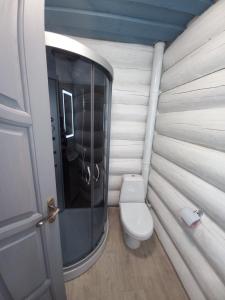 ein Bad mit einem WC und einer Glasdusche in der Unterkunft White House in Synewyrska Poljana