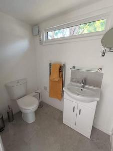 baño con aseo y lavabo y ventana en Private Lodge close to beaches and Goodwood en Felpham