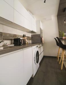 Kuchyňa alebo kuchynka v ubytovaní Tisza River Apartman