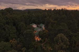 une grande maison au milieu d'une forêt dans l'établissement The Woods Resorts Wayanad, à Sultan Bathery