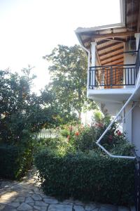 A garden outside Villa Nefeli
