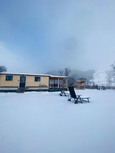 Ciocăneşti的住宿－La Casuta din Ciocanesti Exclusive，坐在雪盖屋顶上的椅子