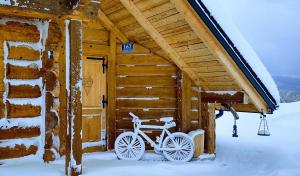 una bicicleta estacionada fuera de una cabaña en la nieve en Villa Beskid, en Milówka