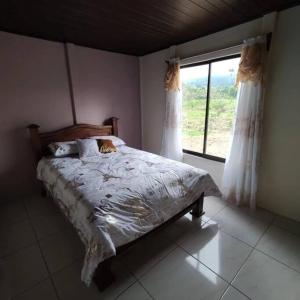 a bedroom with a bed with a cat laying on it at Casa Esperanza in Río Cuarto