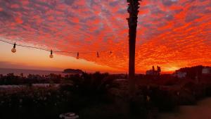 una puesta de sol con una cadena de luces delante de un árbol en Beewool Chaewool Pension en Seogwipo