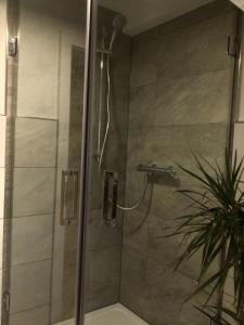 een douche met een glazen deur naast een plant bij connysferienwohnung in Bad Laasphe