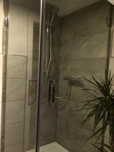 a shower with a glass door next to a plant at connysferienwohnung in Bad Laasphe