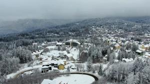 a small town covered in snow and trees at Hotel Orizont in Predeal