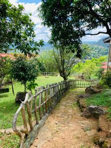 a wooden fence next to a field with trees at Misty Hills Villa - Kandy in Kandy