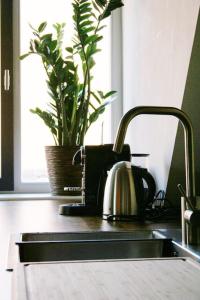 a kitchen sink with a tea kettle and a plant at empanada ferienwohnung in Heppenheim an der Bergstrasse