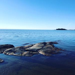 una roca en medio de un gran cuerpo de agua en Luxury cosy cottage by the sea, en Karlstad