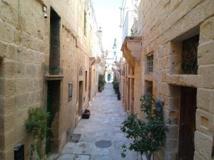 an alley way between two buildings with plants on it at Il-Mezzanine in Cospicua