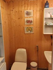 un piccolo bagno con servizi igienici e lavandino di Hideaway for holiday season, House with two saunas a Hämeenlinna