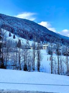 einen schneebedeckten Hügel mit Bäumen und ein Haus darauf in der Unterkunft Charmant appartement au pied des pistes de Lelex in Lélex