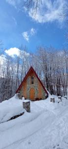 コラシンにあるHoliday Home Sofijaの木々や山々が植わる雪のログキャビン