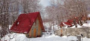 コラシンにあるHoliday Home Sofijaの雪の小さな礼拝堂