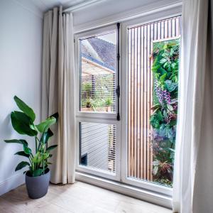 uma janela num quarto com uma planta ao lado em MAYA Appartements & Suites em Cosne Cours sur Loire