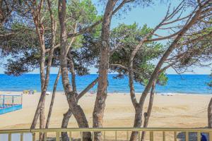 カンブリルスにあるPlaymar Litoral Costa Dorada - ONLY FAMILIESの木々と海を背景にした海岸