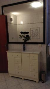 a dresser with a vase with a plant on it at Apartments Baska (883) in Baška