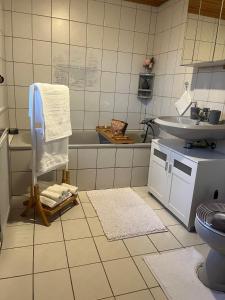 a bathroom with a sink and a toilet at Fachwerk in Bergfreiheit in Bad Wildungen