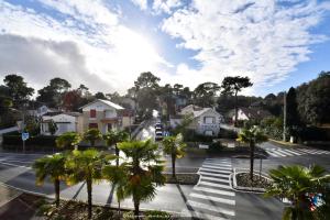 una calle de la ciudad con palmeras y un cielo nublado en A La Plage et Au Soleil de St Palais sur Mer en Saint-Palais-sur-Mer