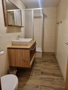 een badkamer met een wastafel en een toilet bij Haus Wildbach in Kappl +51 foto's