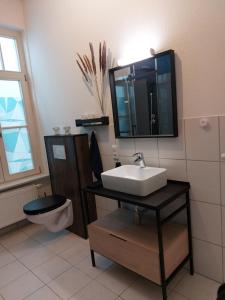 a bathroom with a sink and a toilet and a mirror at Stadthaus mit Dachterrasse in Varel