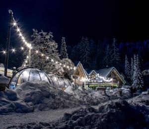 a house with lights in the snow at night at Jasna Chalet Resort in Kranjska Gora