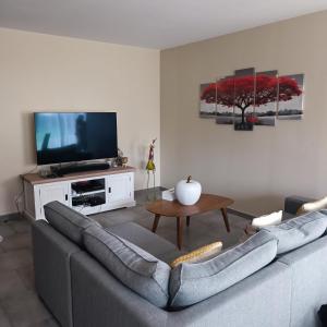 salon z szarą kanapą i telewizorem w obiekcie Maison pour location de chambre circuit 24H et GP w mieście Aigné