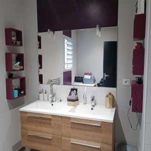 łazienka z umywalką i lustrem w obiekcie Maison pour location de chambre circuit 24H et GP w mieście Aigné
