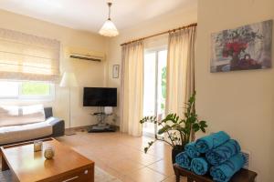 TV a/nebo společenská místnost v ubytování Villa Thalassa with private pool