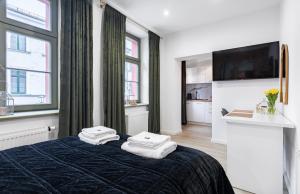 Łóżko lub łóżka w pokoju w obiekcie Apartamenty KB Toruń